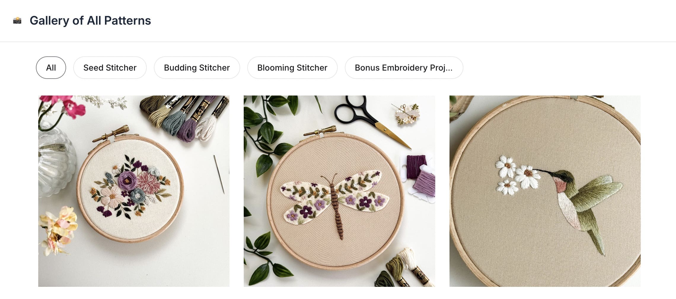 A screenshot of the Project Library and Gallery inside embroidery membership Bloom Embroidery Academy