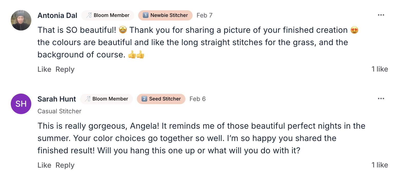 A screenshot of some lovely comments on one of Angela's posts inside of the embroidery membership, Bloom Embroidery Academy. Bloom is filled with supportive like-minded stitchers!